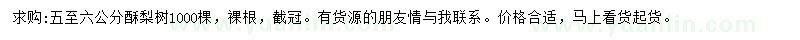 求購5-6公分酥梨樹