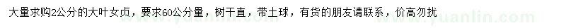求購60公分量2公分大葉女貞