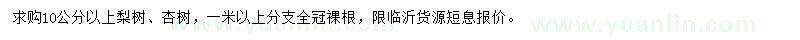 求購(gòu)10公分以上梨樹(shù)、杏樹(shù)