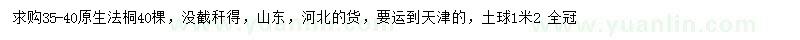 求購35-40公分原生法桐