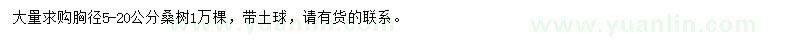 求購(gòu)胸徑5-20公分桑樹