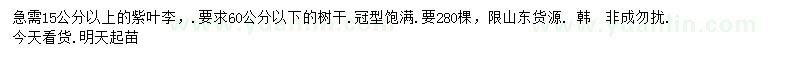 求購(gòu)15公分以上的紫葉李