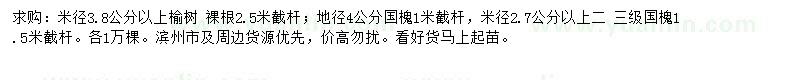 求購(gòu)米徑3.8公分以上榆樹(shù)、地徑4公分國(guó)槐