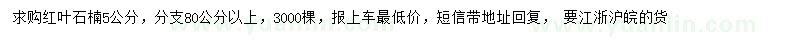 求購5公分的紅葉石楠