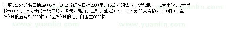 求購毛白楊、法桐、黑松等