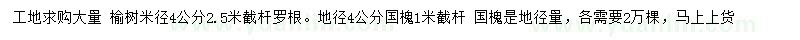 求購米徑4公分榆樹、地徑4公分國槐