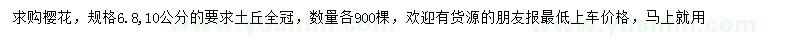 求購6、8、10公分櫻花