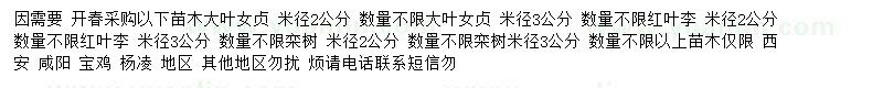 求購欒樹、大葉女貞、紅葉李