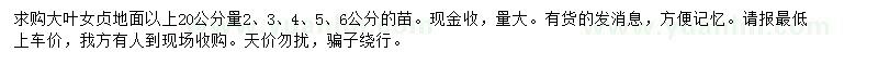 求購(gòu)20公分量2、3、4、5、6公分大葉女貞