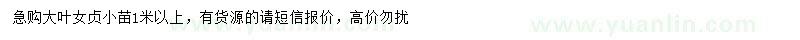 求購1米以上大葉女貞