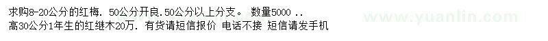求購8-20公分紅梅、高30公分紅繼木