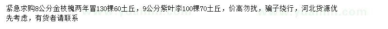求購8公分金枝槐、9公分紫葉李