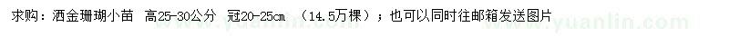 求購高25-30公分灑金珊瑚