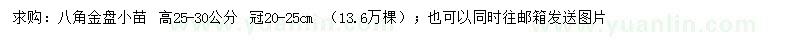 求購高25-30公分八角金盤