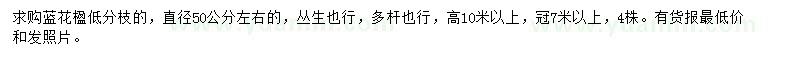 求購直徑50公分左右藍花楹