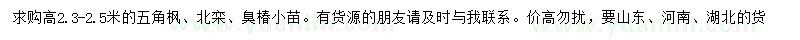 求購五角楓、北欒、臭椿小苗