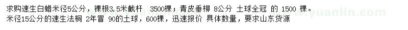 求購速生白蠟、青皮垂柳、速生法桐