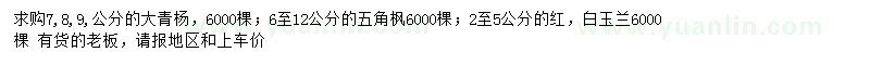 求購青楊、五角楓、紅、白玉蘭