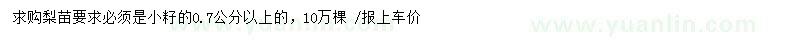 求購(gòu)0.7公分以上梨苗