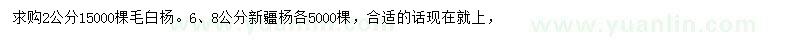 求購2公分毛白楊、6、8公分新疆楊