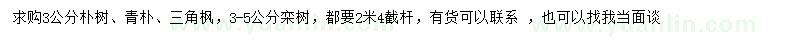 求購樸樹、青樸、三角楓等