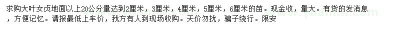 求購地面以上20公分量2公分大葉女貞