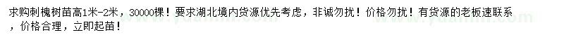 求購高1米-2米刺槐樹苗