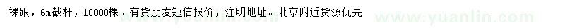 求購胸徑7-8公分毛白楊