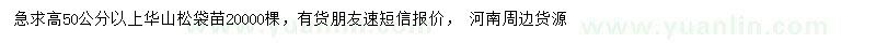 求購高50公分以上華山松袋苗