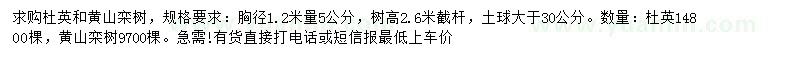 求購(gòu)胸徑1.2米量5公分杜英、黃山欒樹