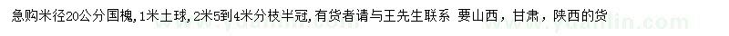 求購米徑20公分國槐