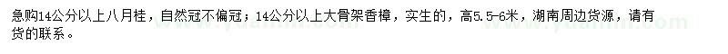 求購(gòu)14公分以上八月桂、香樟