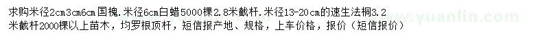 求購國槐、白蠟、速生法桐