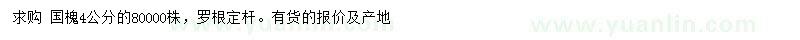 求購4公分國槐