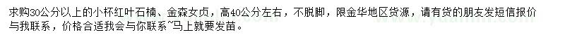 求購30公分以上小杯紅葉石楠、金森女貞