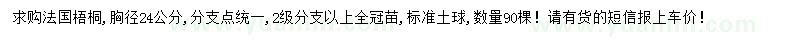 求購胸徑24公分法國梧桐