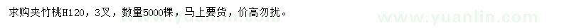 求購(gòu)高120公分夾竹桃