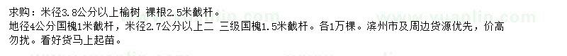 求購(gòu)米徑3.8公分以上榆樹(shù)、地徑4公分國(guó)槐