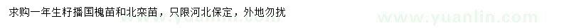 求購(gòu)國(guó)槐苗、北欒苗