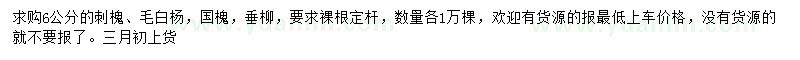 求購(gòu)刺槐、毛白楊、國(guó)槐等