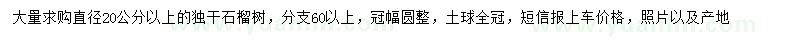 求購(gòu)直徑20公分以上石榴樹(shù)