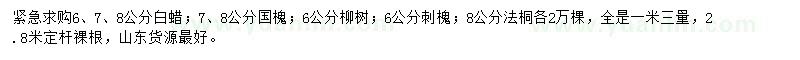 求購白蠟、國槐、柳樹等