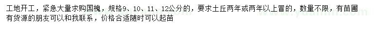 求購9、10、11、12公分國槐