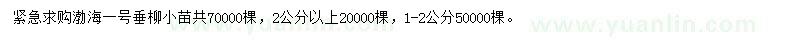 求購1-2、2公分以上垂柳