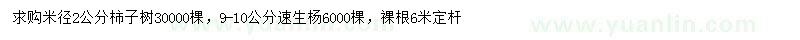 求購(gòu)米徑2公分柿子樹(shù)、9-10公分速生楊