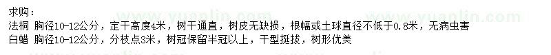 求購胸徑10-12公分法桐、白蠟