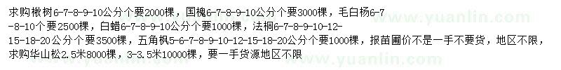求購楸樹、國槐、毛白楊等