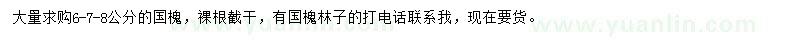 求購(gòu)6、7、8公分國(guó)槐