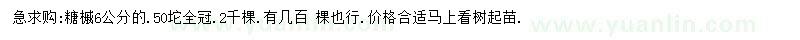 求購6公分塘槭