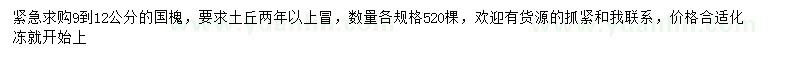 求購9-12公分國槐